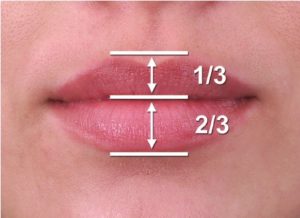 fig-1-aesthetic-upper-to-lower-lip-height-balance-the-upper-lip-is-approximately